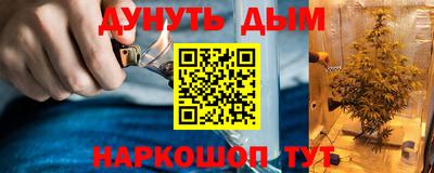гашик Обнинск