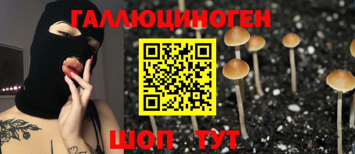 Псилоцибиновые грибы GOLDEN TEACHER  Вход с VPN  Стрежевой 
