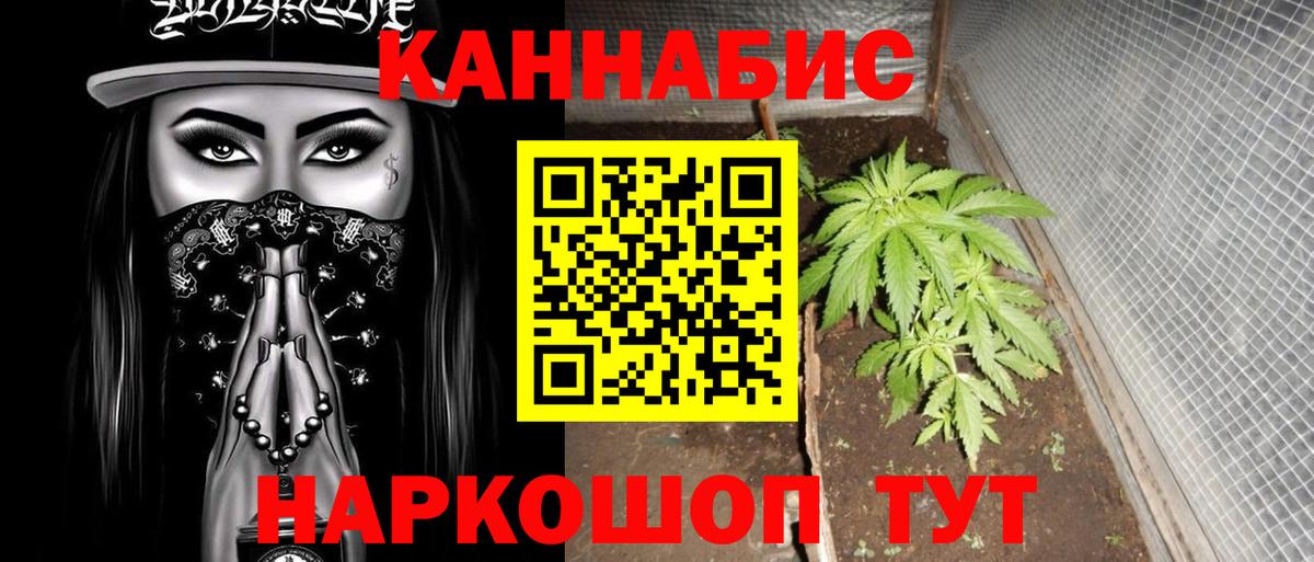 Конопля сатива  Вход с VPN  Канабис Amnesia  Стрежевой 